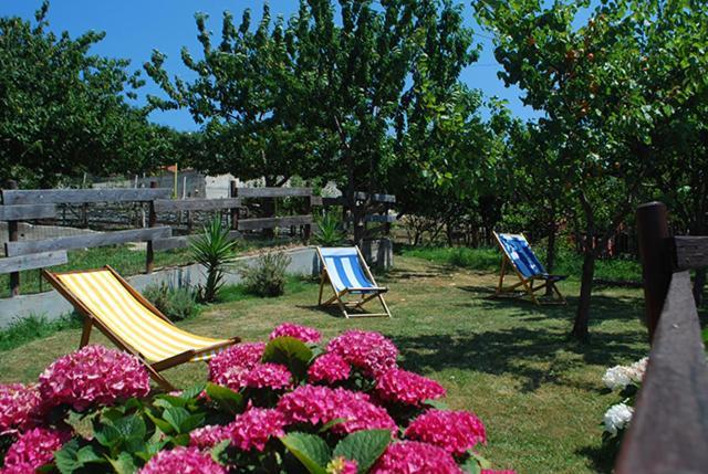 Agriturismo Terra E Cielo Serra Rocco Exteriör bild